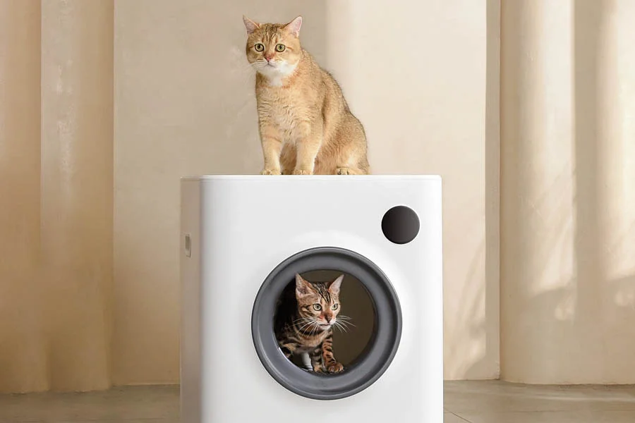 no scoop litter box